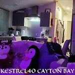 Bay Kestrel40 *