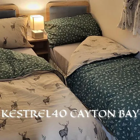 Bay Kestrel40 Camping