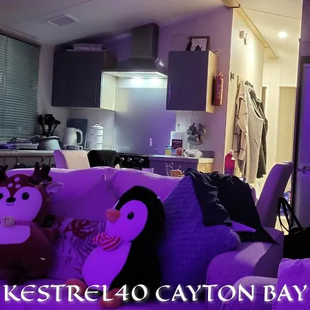Bay Kestrel40 *