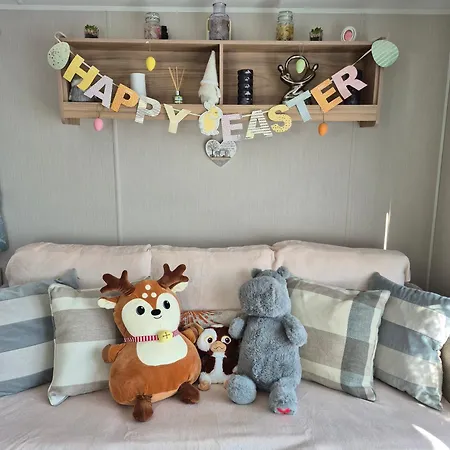 Bay Kestrel40 * Cayton