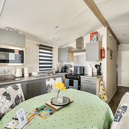 Bay Kestrel40 ケイトン