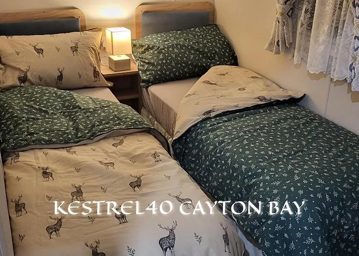 Bay Kestrel40 Camping