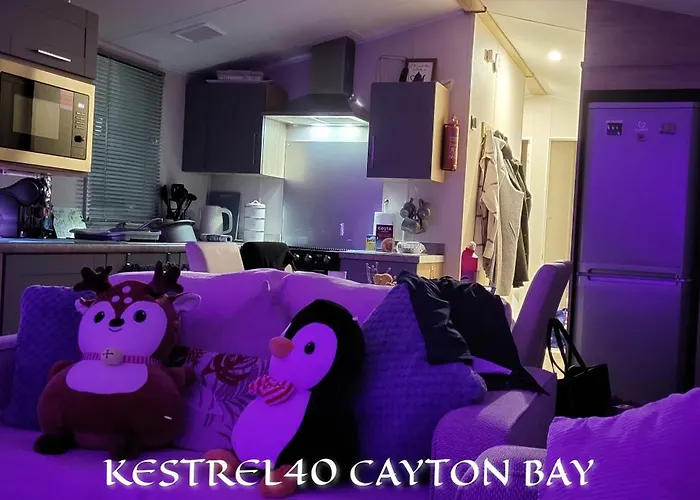 Bay Kestrel40 *